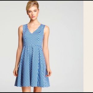 Kate Spade Dress Kelly Benay Blue White Polka Dot Sleeveless Party